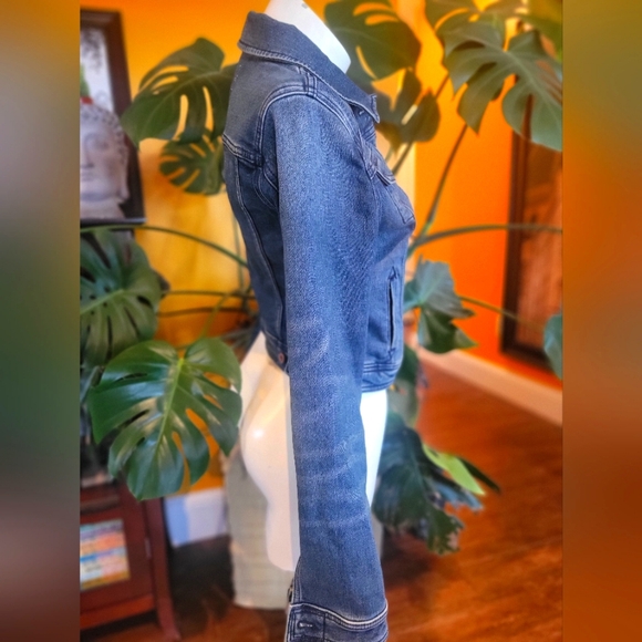 Pilcro and the Letterpress Jean Jacket - Picture 4 of 6